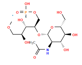 *OC[C@H](O)[C@H](O)[C@@H](COP(*)(=O)O)O[C@@H]1O[C@H](CO)[C@@H](O)[C@H](O)[C@H]1NC(C)=O