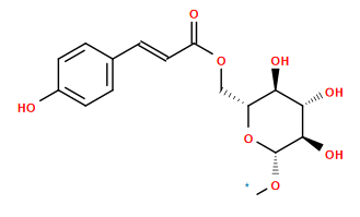 [1*]O[C@@H]1O[C@H](COC(=O)/C=C/c2ccc(O)cc2)[C@@H](O)[C@H](O)[C@H]1O