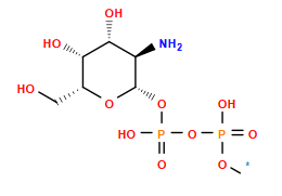 [1*]OP(=O)(O)OP(=O)(O)O[C@@H]1O[C@H](CO)[C@H](O)[C@H](O)[C@H]1N