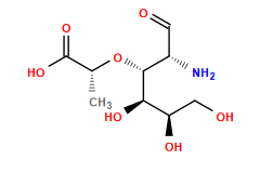 C[C@@H](O[C@@H]([C@H](O)[C@H](O)CO)[C@@H](N)C=O)C(=O)O