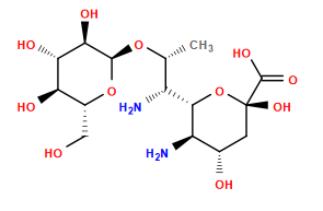 C[C@@H](O[C@H]1O[C@H](CO)[C@@H](O)[C@H](O)[C@H]1O)[C@@H](N)[C@@H]1O[C@](O)(C(=O)O)C[C@H](O)[C@H]1N