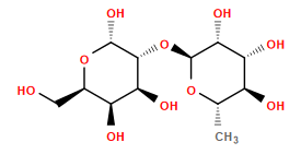 C[C@@H]1O[C@@H](O[C@@H]2[C@@H](O)[C@@H](O)[C@@H](CO)O[C@@H]2O)[C@H](O)[C@H](O)[C@H]1O
