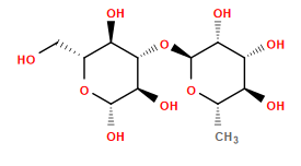 C[C@@H]1O[C@@H](O[C@@H]2[C@@H](O)[C@H](O)O[C@H](CO)[C@H]2O)[C@H](O)[C@H](O)[C@H]1O