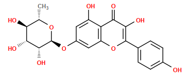C[C@@H]1O[C@@H](Oc2cc(O)c3c(=O)c(O)c(-c4ccc(O)cc4)oc3c2)[C@H](O)[C@H](O)[C@H]1O