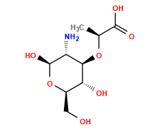 C[C@H](O[C@@H]1[C@@H](N)[C@H](O)O[C@H](CO)[C@H]1O)C(=O)O