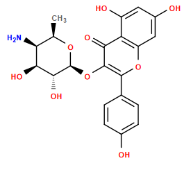 C[C@H]1O[C@@H](Oc2c(-c3ccc(O)cc3)oc3cc(O)cc(O)c3c2=O)[C@H](O)[C@@H](O)[C@H]1N