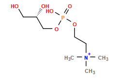 C[N+](C)(C)CCOP(=O)(O)OC[C@@H](O)CO