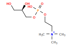 C[N+](C)(C)CCOP(=O)(O)OC[C@H](O)CO