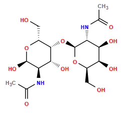 CC(=O)N[C@@H]1[C@@H](O)[C@@H](O[C@@H]2O[C@H](CO)[C@H](O)[C@H](O)[C@H]2NC(C)=O)[C@@H](CO)O[C@@H]1O