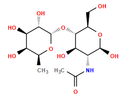 CC(=O)N[C@@H]1[C@@H](O)[C@H](O[C@@H]2O[C@@H](C)[C@@H](O)[C@@H](O)[C@@H]2O)[C@@H](CO)O[C@H]1O