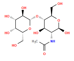 CC(=O)N[C@@H]1[C@@H](O)[C@H](O[C@@H]2O[C@H](CO)[C@H](O)[C@H](O)[C@H]2O)[C@@H](CO)O[C@H]1O
