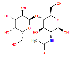 CC(=O)N[C@@H]1[C@@H](O)[C@H](O[C@H]2O[C@H](CO)[C@H](O)[C@H](O)[C@H]2O)[C@@H](CO)O[C@H]1O