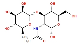 CC(=O)N[C@@H]1[C@@H](O[C@@H]2O[C@@H](C)[C@H](O)[C@@H](O)[C@H]2O)[C@H](O)[C@@H](CO)O[C@@H]1O