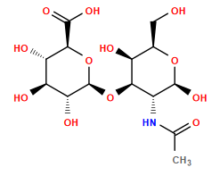 CC(=O)N[C@@H]1[C@@H](O[C@@H]2O[C@H](C(=O)O)[C@@H](O)[C@H](O)[C@H]2O)[C@@H](O)[C@@H](CO)O[C@H]1O