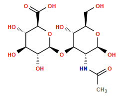 CC(=O)N[C@@H]1[C@@H](O[C@@H]2O[C@H](C(=O)O)[C@@H](O)[C@H](O)[C@H]2O)[C@H](O)[C@@H](CO)O[C@H]1O