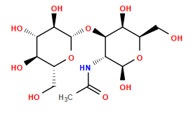 CC(=O)N[C@@H]1[C@@H](O[C@@H]2O[C@H](CO)[C@@H](O)[C@H](O)[C@H]2O)[C@@H](O)[C@@H](CO)O[C@H]1O