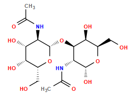 CC(=O)N[C@@H]1[C@@H](O[C@@H]2O[C@H](CO)[C@H](O)[C@H](O)[C@H]2NC(C)=O)[C@@H](O)[C@@H](CO)O[C@@H]1O