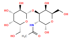 CC(=O)N[C@@H]1[C@@H](O[C@@H]2O[C@H](CO)[C@H](O)[C@H](O)[C@H]2O)[C@@H](O)[C@@H](CO)O[C@@H]1O