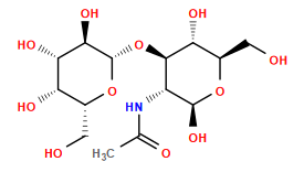 CC(=O)N[C@@H]1[C@@H](O[C@@H]2O[C@H](CO)[C@H](O)[C@H](O)[C@H]2O)[C@H](O)[C@@H](CO)O[C@H]1O
