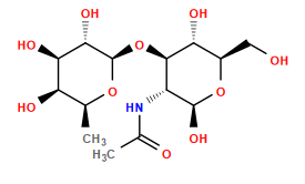 CC(=O)N[C@@H]1[C@@H](O[C@H]2O[C@@H](C)[C@@H](O)[C@@H](O)[C@@H]2O)[C@H](O)[C@@H](CO)O[C@H]1O