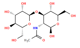 CC(=O)N[C@@H]1[C@@H](O[C@H]2O[C@H](CO)[C@@H](O)[C@H](O)[C@@H]2O)[C@H](O)[C@@H](CO)O[C@H]1O