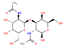 CC(=O)N[C@@H]1[C@@H](O[C@H]2O[C@H](CO)[C@H](O)[C@H](O)[C@H]2NC(C)=O)[C@@H](O)[C@@H](CO)O[C@H]1O