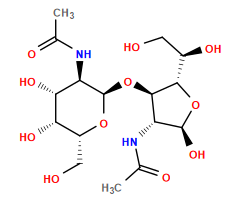 CC(=O)N[C@@H]1[C@@H](O[C@H]2O[C@H](CO)[C@H](O)[C@H](O)[C@H]2NC(C)=O)[C@H]([C@H](O)CO)O[C@H]1O