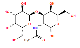 CC(=O)N[C@@H]1[C@@H](O[C@H]2O[C@H](CO)[C@H](O)[C@H](O)[C@H]2O)[C@@H](O)[C@@H](CO)O[C@@H]1O