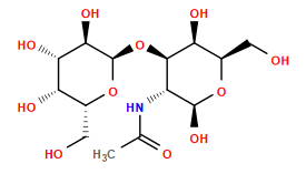 CC(=O)N[C@@H]1[C@@H](O[C@H]2O[C@H](CO)[C@H](O)[C@H](O)[C@H]2O)[C@@H](O)[C@@H](CO)O[C@H]1O