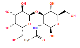 CC(=O)N[C@@H]1[C@@H](O[C@H]2O[C@H](CO)[C@H](O)[C@H](O)[C@H]2O)[C@H](O)[C@@H](CO)O[C@H]1O