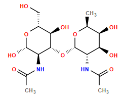 CC(=O)N[C@@H]1[C@H](O[C@H]2[C@H](O)[C@@H](CO)O[C@@H](O)[C@@H]2NC(C)=O)O[C@@H](C)[C@@H](O)[C@H]1O