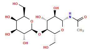 CC(=O)N[C@@H]1O[C@H](CO)[C@@H](O[C@@H]2O[C@H](CO)[C@H](O)[C@H](O)[C@H]2O)[C@H](O)[C@H]1O