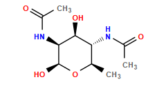 CC(=O)N[C@H]1[C@@H](O)[C@H](NC(C)=O)[C@@H](C)O[C@H]1O