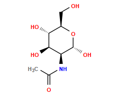CC(=O)N[C@H]1[C@@H](O)[C@H](O)[C@@H](CO)O[C@@H]1O