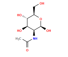 CC(=O)N[C@H]1[C@@H](O)[C@H](O)[C@@H](CO)O[C@H]1O