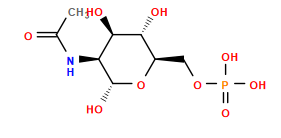 CC(=O)N[C@H]1[C@@H](O)[C@H](O)[C@@H](COP(=O)(O)O)O[C@@H]1O