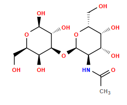 CC(=O)N[C@H]1[C@@H](O[C@@H]2[C@@H](O)[C@H](O)O[C@H](CO)[C@@H]2O)O[C@H](CO)[C@H](O)[C@@H]1O