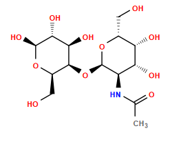 CC(=O)N[C@H]1[C@@H](O[C@@H]2[C@H](O)[C@@H](O)[C@H](O)O[C@@H]2CO)O[C@H](CO)[C@H](O)[C@@H]1O