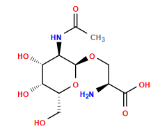 CC(=O)N[C@H]1[C@@H](OC[C@H](N)C(=O)O)O[C@H](CO)[C@H](O)[C@@H]1O