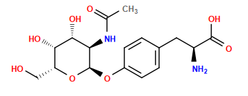 CC(=O)N[C@H]1[C@@H](Oc2ccc(C[C@H](N)C(=O)O)cc2)O[C@H](CO)[C@H](O)[C@@H]1O