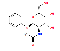 CC(=O)N[C@H]1[C@@H](Oc2ccccc2)O[C@H](CO)[C@H](O)[C@@H]1O