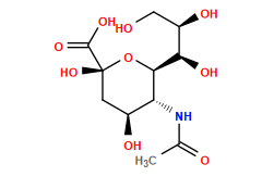 CC(=O)N[C@H]1[C@H]([C@H](O)[C@H](O)CO)O[C@@](O)(C(=O)O)C[C@@H]1O