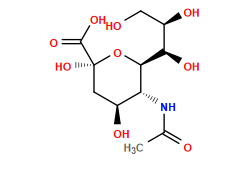 CC(=O)N[C@H]1[C@H]([C@H](O)[C@H](O)CO)O[C@](O)(C(=O)O)C[C@@H]1O