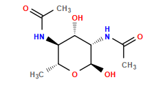 CC(=O)N[C@H]1[C@H](O)[C@H](NC(C)=O)[C@@H](O)O[C@@H]1C