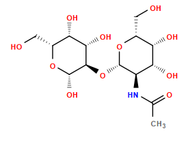 CC(=O)N[C@H]1[C@H](O[C@@H]2[C@@H](O)[C@@H](O)[C@@H](CO)O[C@H]2O)O[C@H](CO)[C@H](O)[C@@H]1O