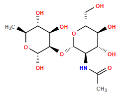 CC(=O)N[C@H]1[C@H](O[C@@H]2[C@H](O)[C@@H](O)[C@H](C)O[C@H]2O)O[C@H](CO)[C@@H](O)[C@@H]1O