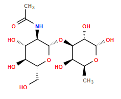 CC(=O)N[C@H]1[C@H](O[C@@H]2[C@H](O)[C@H](C)O[C@@H](O)[C@H]2O)O[C@H](CO)[C@@H](O)[C@@H]1O