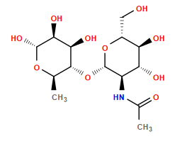 CC(=O)N[C@H]1[C@H](O[C@H]2[C@H](O)[C@H](O)[C@@H](O)O[C@@H]2C)O[C@H](CO)[C@@H](O)[C@@H]1O