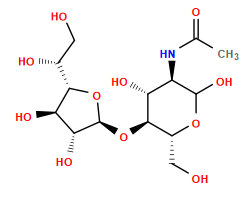 CC(=O)N[C@H]1C(O)O[C@H](CO)[C@@H](O[C@@H]2O[C@@H]([C@H](O)CO)[C@H](O)[C@H]2O)[C@@H]1O