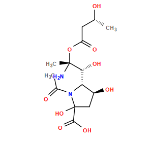 CC(=O)N1[C@H]([C@@H](O)[C@](C)(N)OC(=O)C[C@@H](C)O)[C@@H](O)CC1(O)C(=O)O